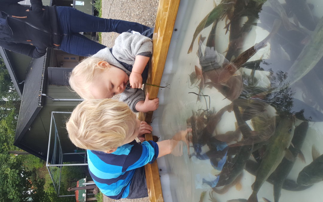 Naturens dag