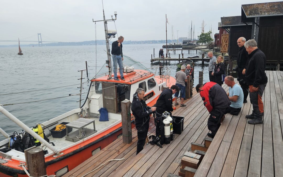 Første Tirsdags dyk fra vores nye bro